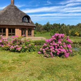 Octagonal Thatched Forest House Near Herning，位于Videbæk的酒店