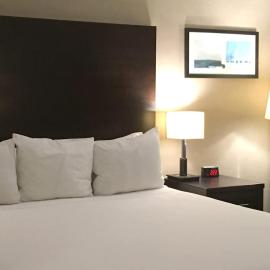 Radisson Hotel Winnipeg Downtown，位于温尼伯的酒店
