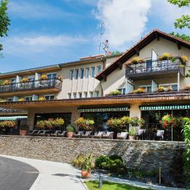 Hôtel Restaurant Logis Auberge Sundgovienne,位于Carspach的酒店