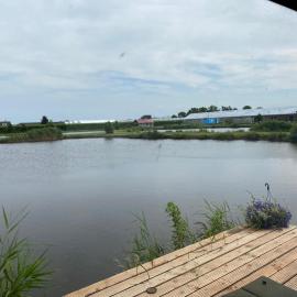 Forelwereld camping Luttelgeest aan zee vlak bij Giethoorn ,Lemmer ,Urk
