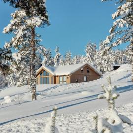 Experience Mountain Magic At Bringsfjellet，位于Lalm的酒店