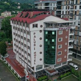 Paluri Otel Hopa，位于霍帕的酒店