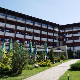 Hotel Carpați，位于普雷代亚尔的酒店