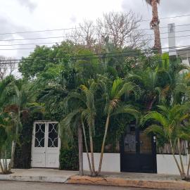 Hotel Downtown Merida