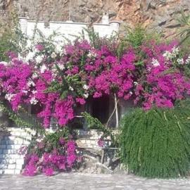Villa Voukamvilia 3 minutes walk from Beach，位于尼奥·奥伊蒂龙的酒店