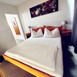 Hotel Rheinfall，位于诺伊豪森的酒店