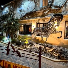 La glycine hotel, spa et bien-être，位于贝努维尔的酒店