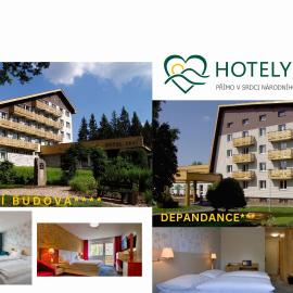 Hotel Srní a Depandance，位于斯尼的酒店