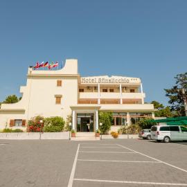 Hotel Sfinalicchio，位于维耶斯泰的酒店