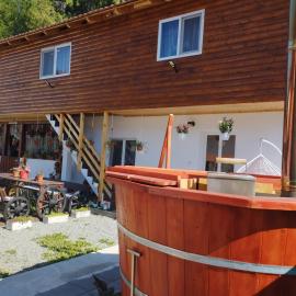 Cabana Dănuțza，位于阿列谢尼的酒店