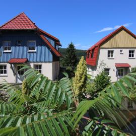 Hasseröder Ferienpark，位于韦尼格罗德的酒店