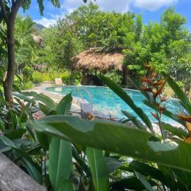 Little Mai Chau Home Stay，位于枚州县的酒店