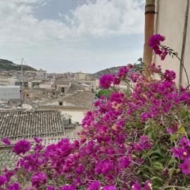 Le Terrazze della Torre，位于希克利的酒店