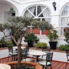 Hotel Los Olivos，位于阿尔科斯-德拉弗龙特拉的酒店