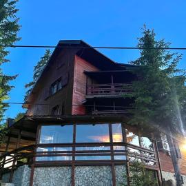 Whispering Pines，位于Šišava的酒店