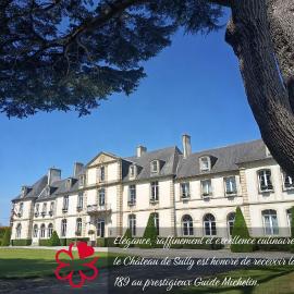 Grand Hôtel "Château de Sully" - Piscine & Spa -Teritoria,位于Sully的酒店