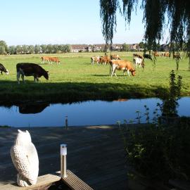 B&B-Edam，位于埃丹的酒店