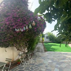 Hostl - Beds & Rooms - The Hostel Inn Paphos, Old Town，位于帕福斯的酒店