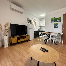 White Wood Lodge，位于班斯科的酒店