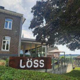 LÖSS Wijnhotel en Smaaklokaal，位于费伦的酒店
