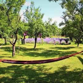 Casa rurală cu livadă LavAndra，位于坎皮纳的酒店