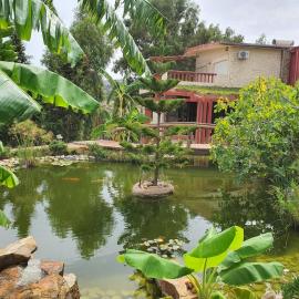 Ain Damous Farmhouse，位于比塞大的酒店