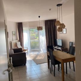 Appartement dans parc
