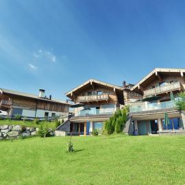 Maierl-Alm & Maierl-Chalets，位于蒂罗尔-基希贝格的酒店