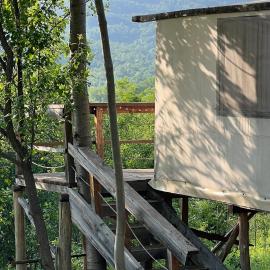 Mesteceni Glamping，位于Nistoreşti的酒店