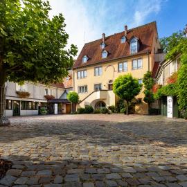 Hotel & Spa A la cour d'Alsace by HappyCulture，位于奥贝奈的酒店