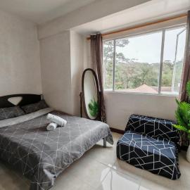 Mountain Breeze