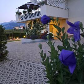Le Rocce Val di Non - Quality Room & Breakfast，位于Tassullo的酒店
