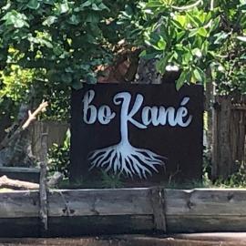 Bokané，位于Boca del cielo的酒店