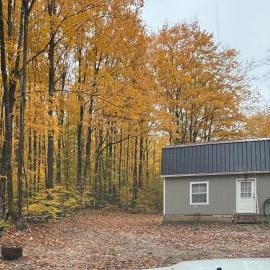 1 Bed Studio Cabin in the Woods with Kitchen，位于Frederic的酒店