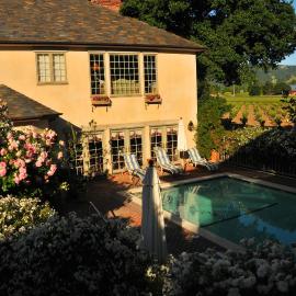 Vineyard Country Inn，位于圣海伦娜的酒店