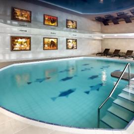 Wellness Hotel Svachovka
