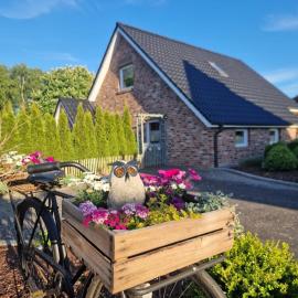 Eulennest Emsland