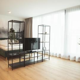 Black Forest Suites Achern，位于阿赫恩的酒店