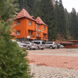 Vila Bradul，位于红湖的酒店