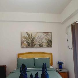 Amani Grand Resort and Residences - Pool View Room 333B Free wifi, netflix, pool and gym house, 3mins to Mactan Cebu International Airport，位于Pusok的酒店