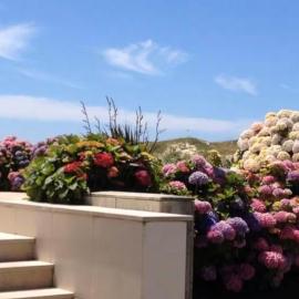 Mindelo apart on best beach North Portugal，位于明德卢的酒店