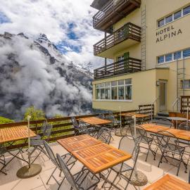 Hotel Alpina，位于米伦的酒店