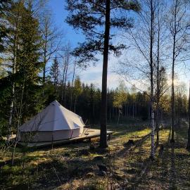 Luxe tent met uitzicht op het bos en met Sauna en hottub，位于Hammarn的酒店
