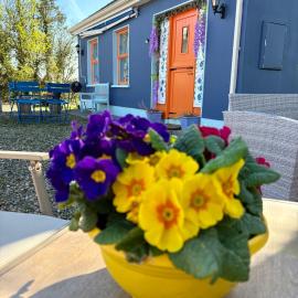 Blueberry Tiny Home，位于Kilmurry McMahon的酒店