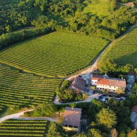 Residence Tenuta Gambalonga，位于Cinto Euganeo的酒店