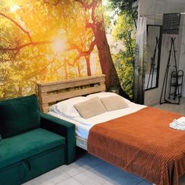 Apartamenty w Puszczy，位于奥古斯图的酒店