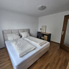 Apartment 2 Hügelruhe Mandach - 25 m2 - 1 Schlafzimmer - Ferien - Business，位于伯特施泰因的酒店