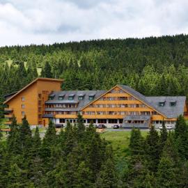 Hotel Petrovy kameny,位于卡尔洛瓦斯图丹卡的酒店