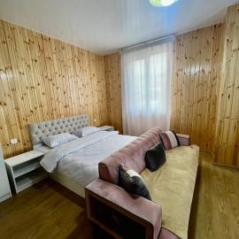 Hotel Beshumi，位于Goderdzi的酒店