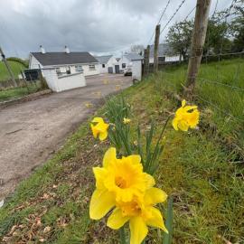 Ma Monaghan's Cosy Cottage County Tyrone，位于波默罗伊的酒店